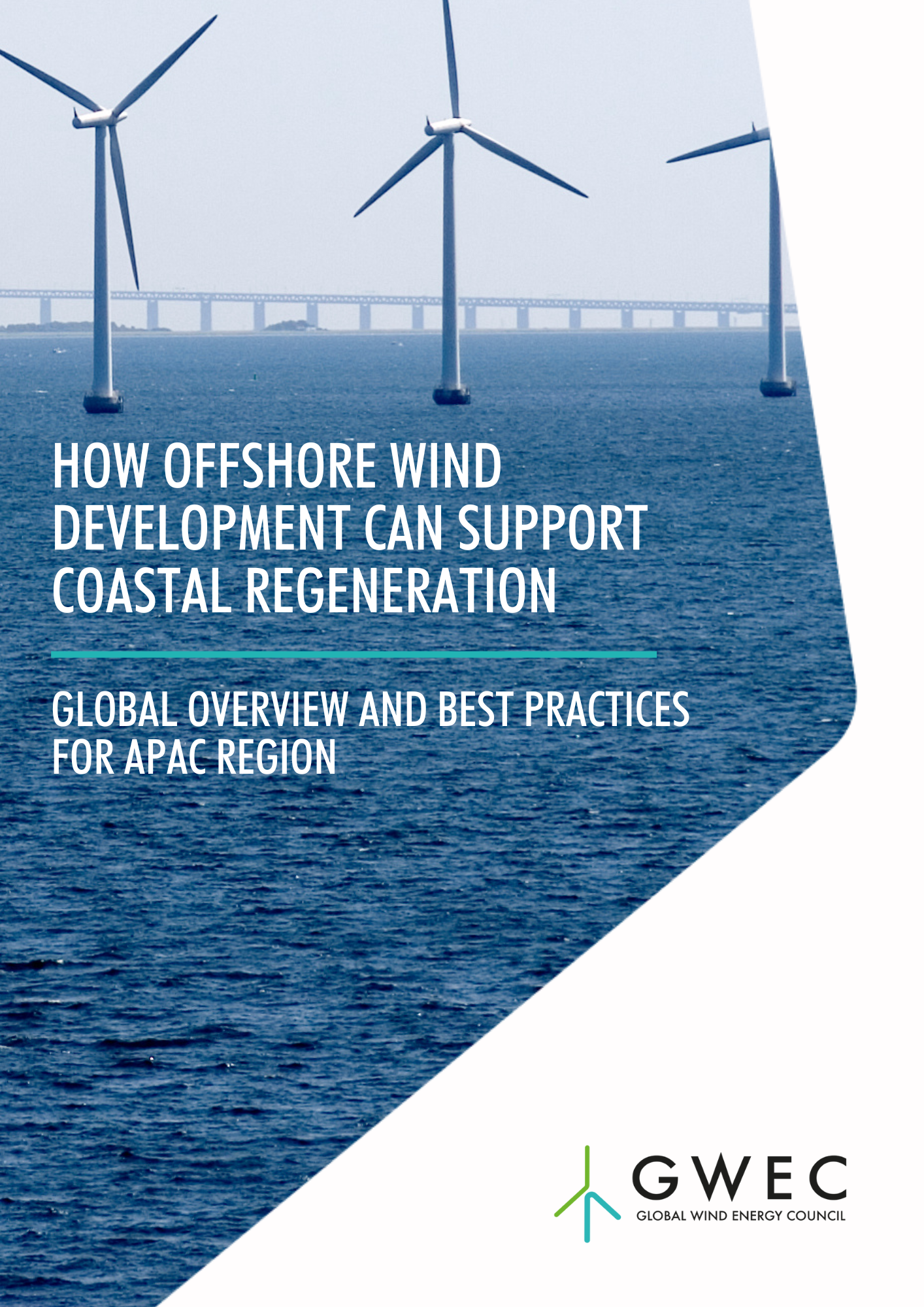 How-OFW-Can-Support-Coastal-Regeneration-for-APAC